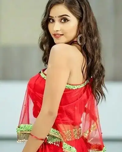 Call Girls Service Mewat
